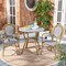 Safavieh Outdoor Collection Rosen French Bistro Arm Chair Grey/White